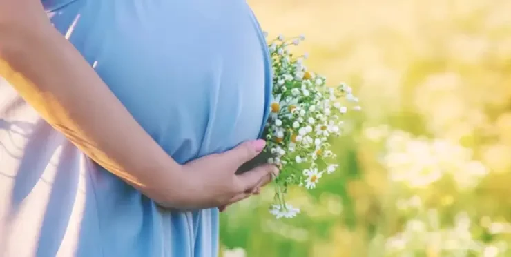Yerba mate e gravidanza donna in cinta in un prato in mezzo alla natura